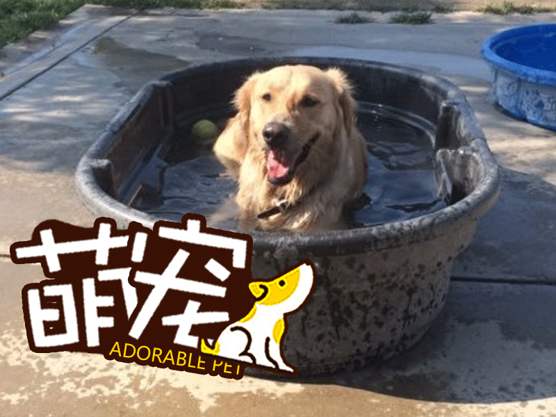 “开元棋牌官网”黑龙江:黑龙江哈尔滨市召开秋季深松整地（秸秆还田）现场推进会